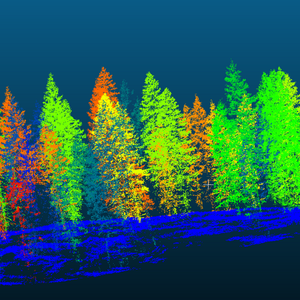 Segmentierte 3D-Punktewolke eines Waldstücks 